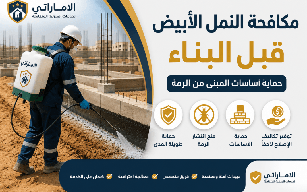 مكافحة النمل الأبيض قبل البناء